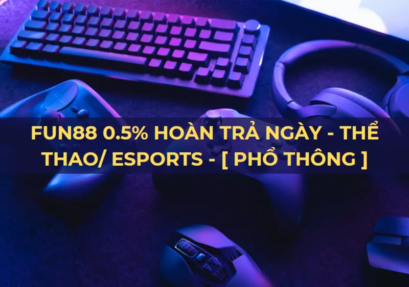hoàn trả ngày lên đến 0.5% tại fun88 esports & thể thao!