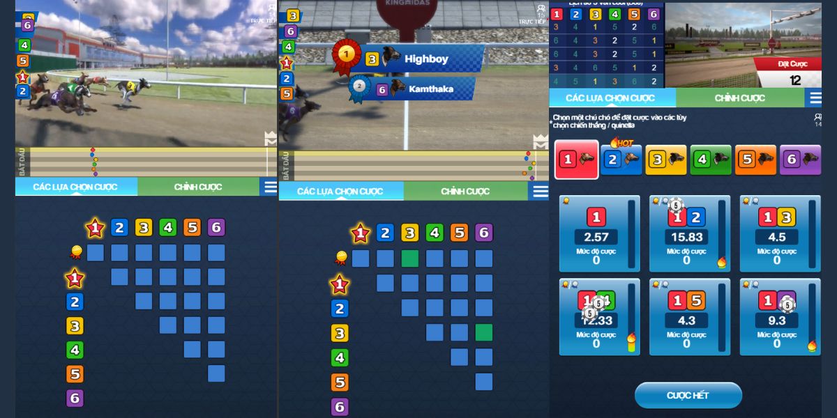 tham gia chơi cá cược đua chó ảo fun88