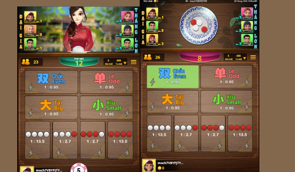 tiến hành đặt cược và lắc xóc đĩa fun88 3d